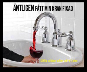 Den optimala blandaren med vin