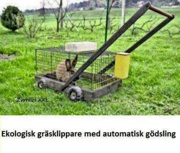 fr Kittad för Trädgård