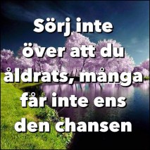 Sörj ej över att du åldras