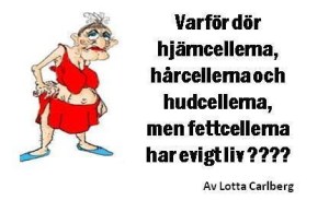 Varför dör hjärncellera hårcellerna ...