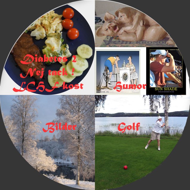 Rondellen med Nej tack_2_darkgrey