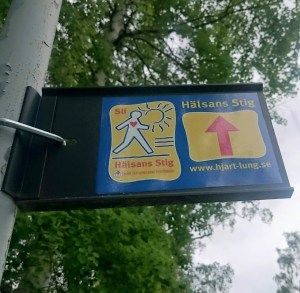 Hälsans Stig