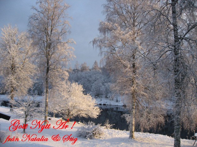 20111207 Gott Nytt År 5