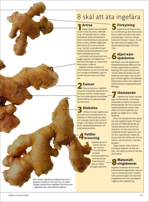 Låt ingfära bli din medicin